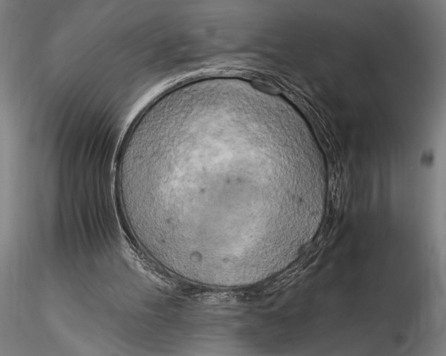 X0000116050100200912111514