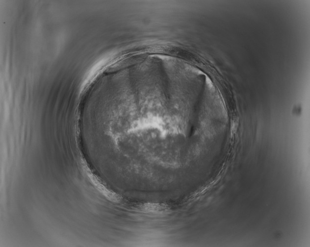 X0000116050101200912111514