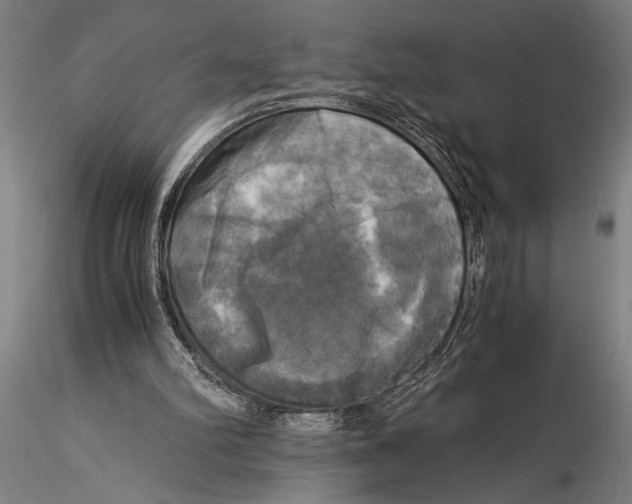 X0000116050102200912111514