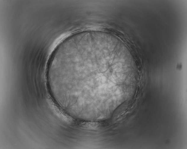 X0000116050104200912111514