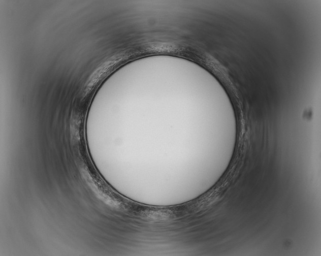 X0000116050106200912111513