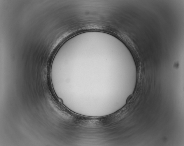 X0000116050108200912111513