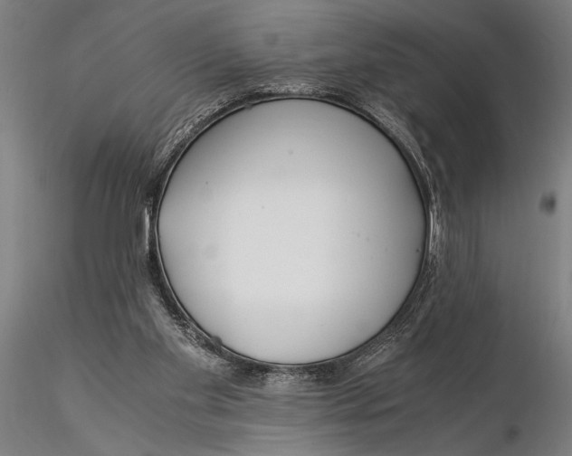 X0000116050109200912111513