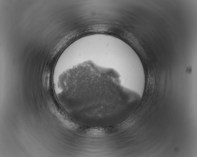 X0000116050110200912111513