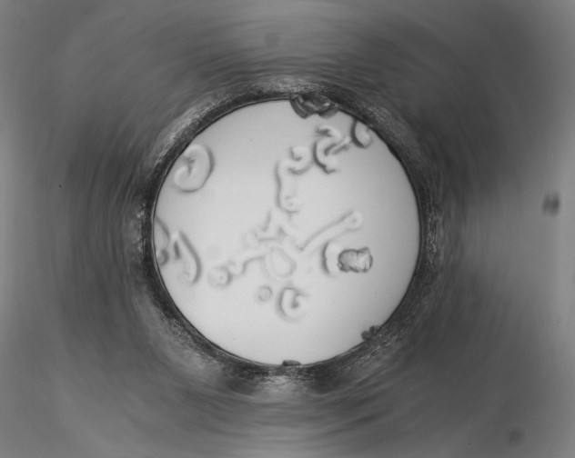 X0000116050111200912111513