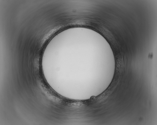 X0000116050112200912111513