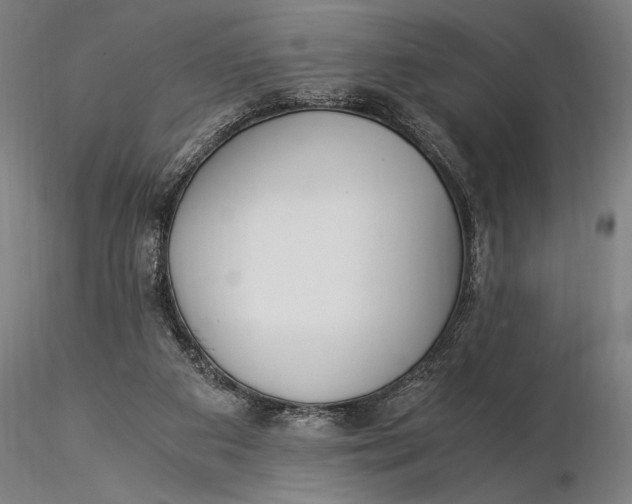 X0000116050113200912111513