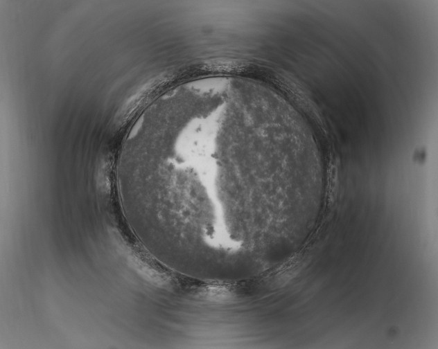 X0000116050114200912111513