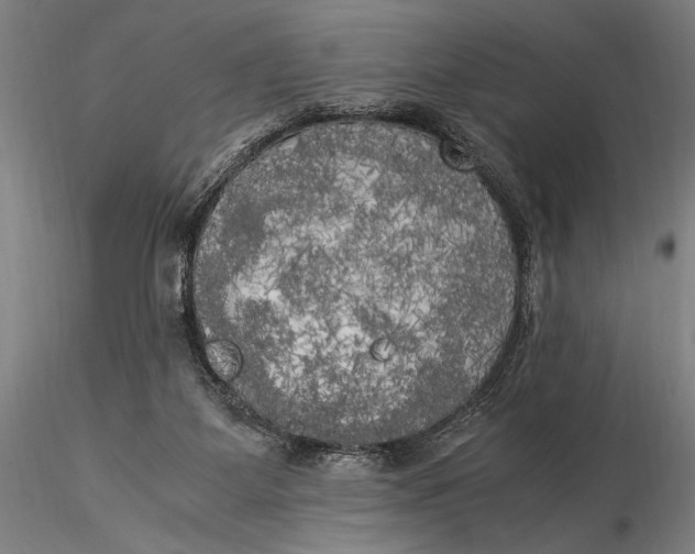 X0000116050115200912111513