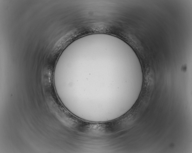 X0000116050117200912111513