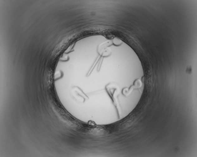 X0000116050119200912111513