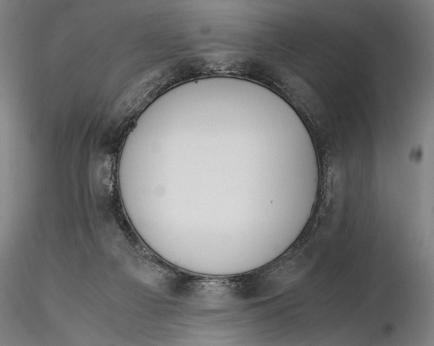 X0000116050121200912111513