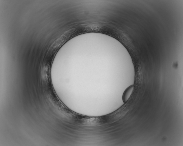 X0000116050122200912111513