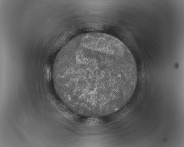 X0000116050123200912111513