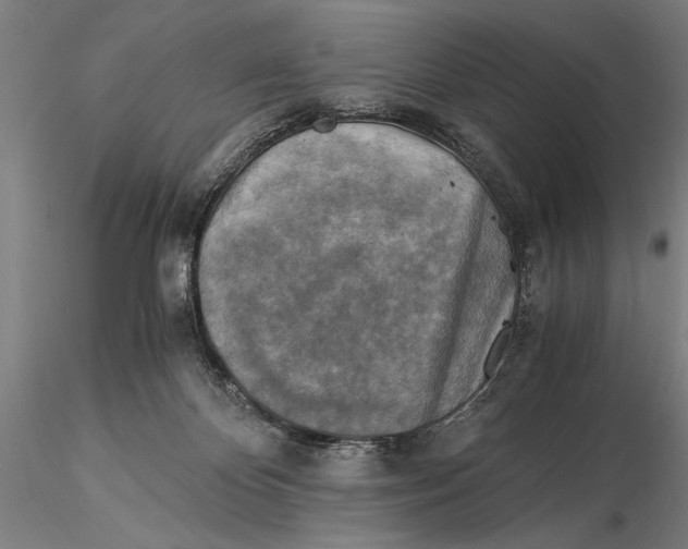 X0000116050124200912111513