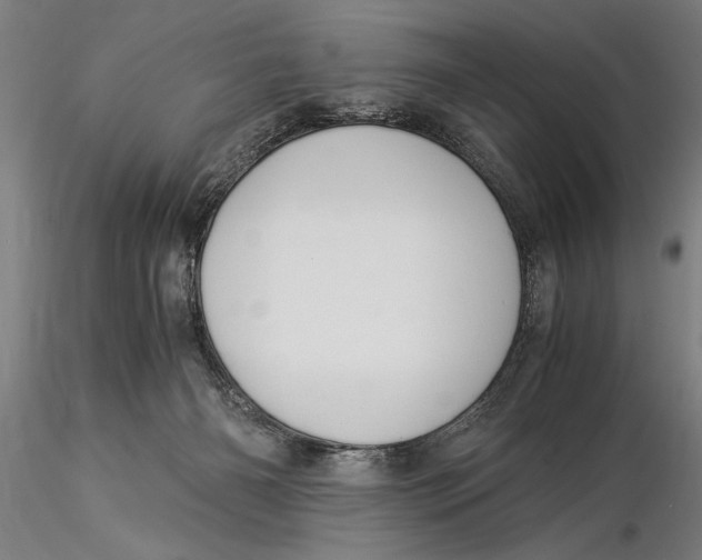 X0000116050126200912111513