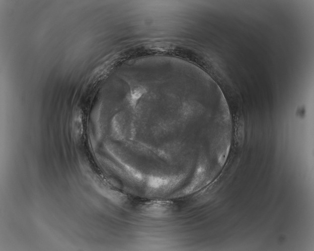 X0000116050128200912111513