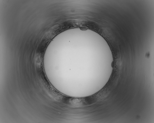 X0000116050129200912111513