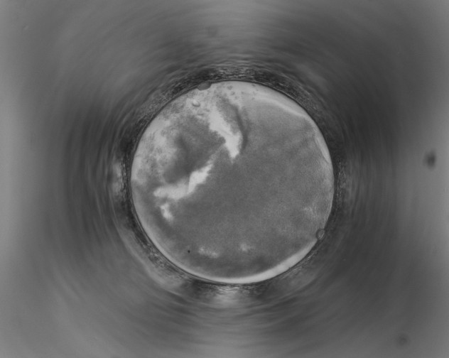 X0000116050130200912111513