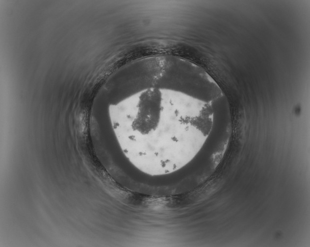 X0000116050131200912111513