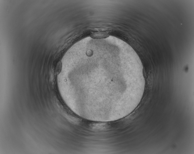 X0000116050132200912111513