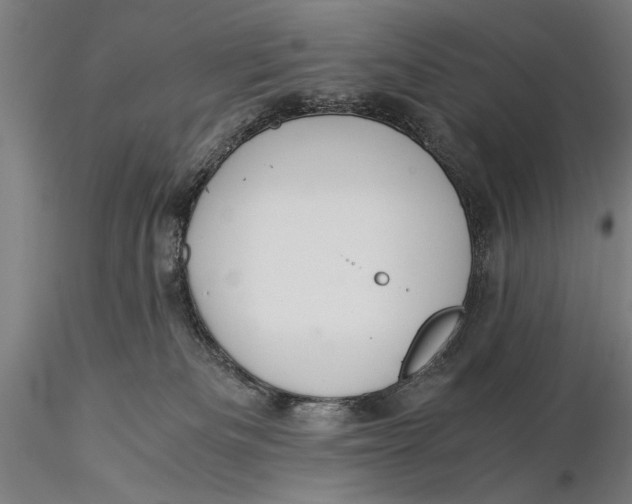 X0000116050133200912111513