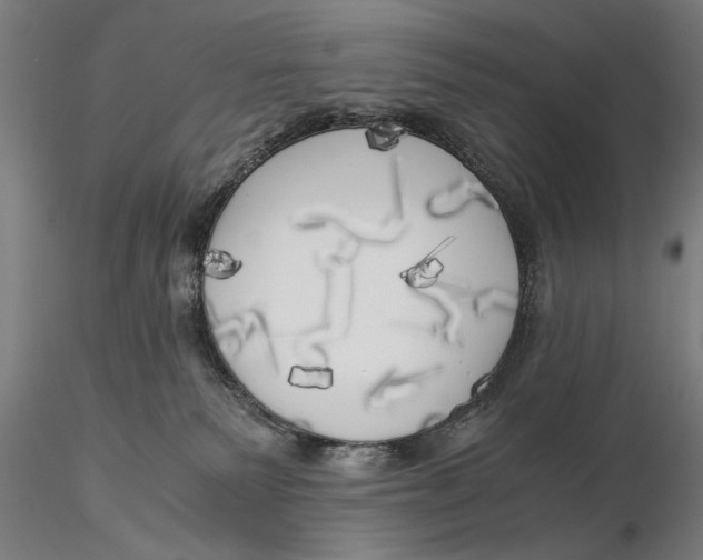 X0000116050135200912111513