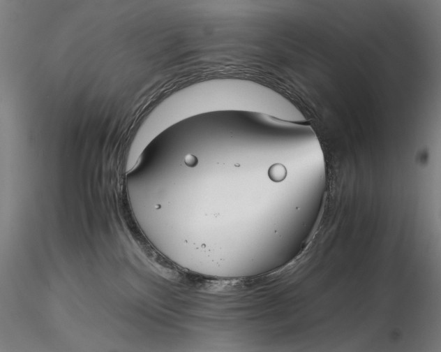 X0000116050136200912111513