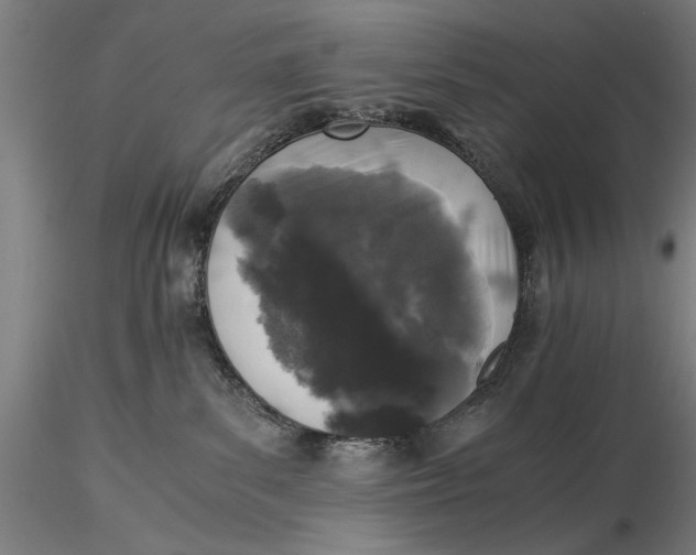 X0000116050139200912111513