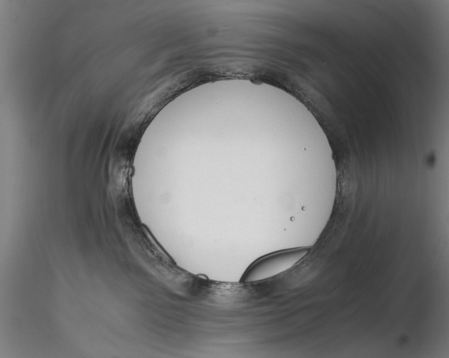 X0000116050141200912111513