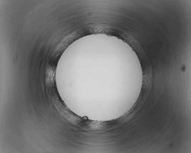 X0000116050142200912111513