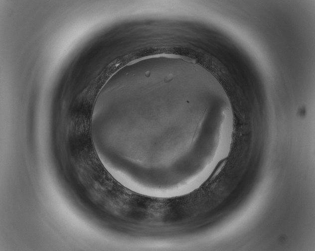 X0000116050143200912111513