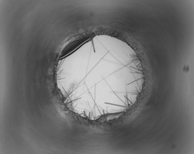 X0000116050144200912111513