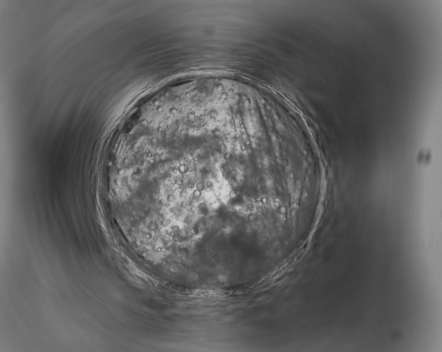 X0000116050145200912111512