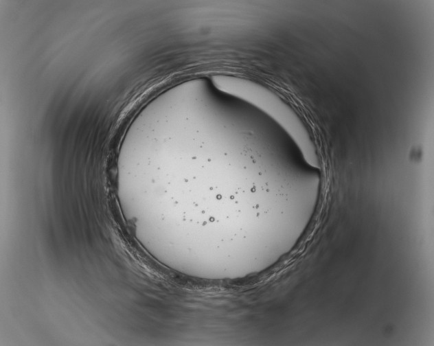 X0000116050146200912111512