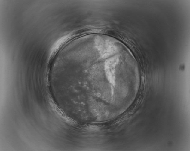 X0000116050149200912111512