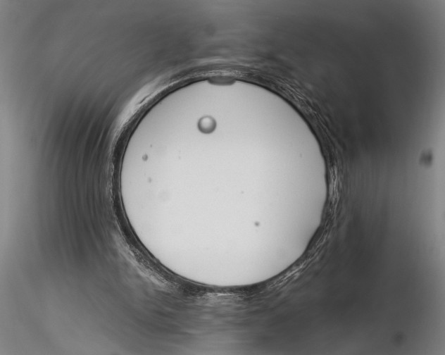 X0000116050150200912111512