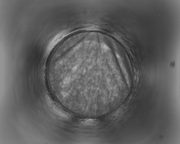 X0000116050151200912111512