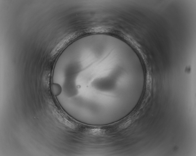 X0000116050153200912111512