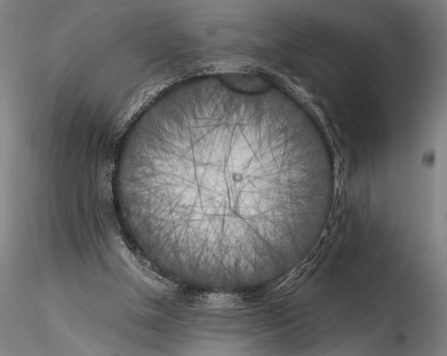 X0000116050154200912111512