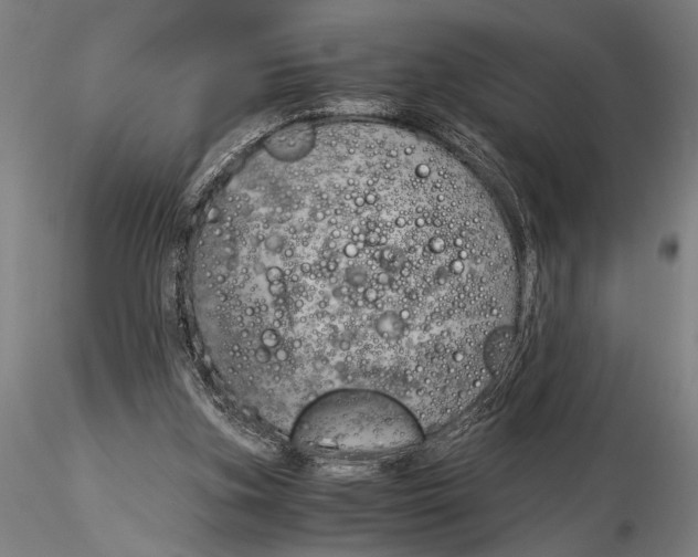 X0000116050155200912111512