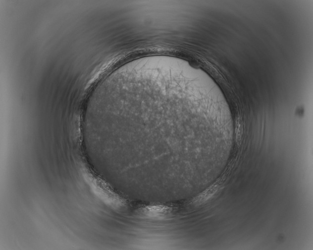 X0000116050158200912111512