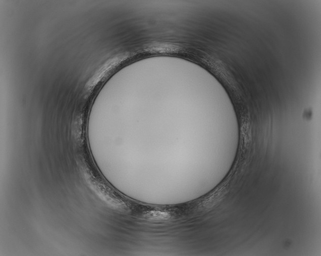 X0000116050159200912111513