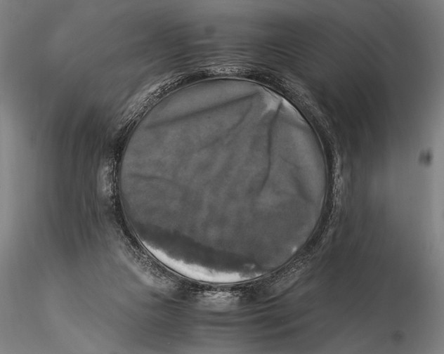 X0000116050161200912111513