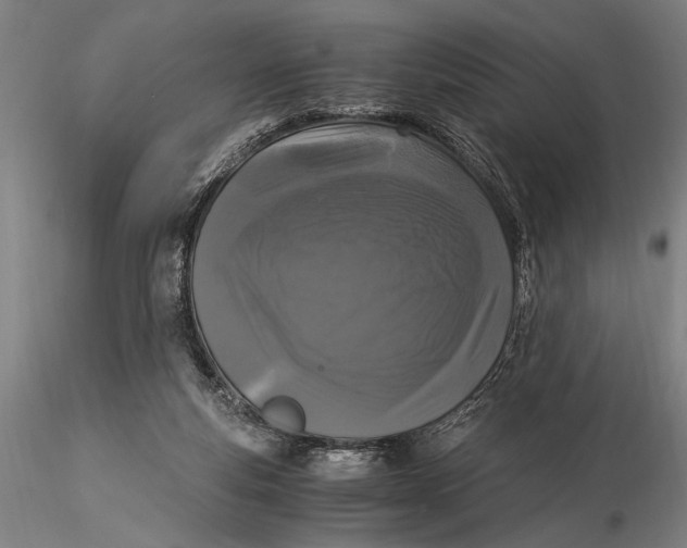 X0000116050163200912111513