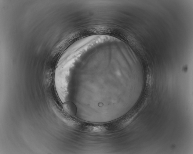 X0000116050165200912111513