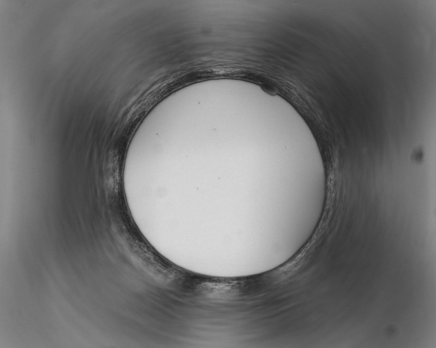 X0000116050170200912111513