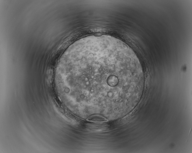 X0000116050171200912111513