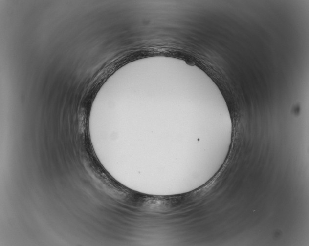 X0000116050174200912111513