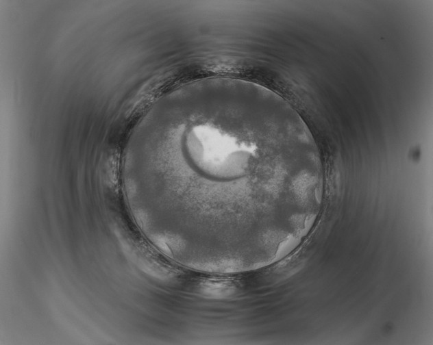 X0000116050175200912111513